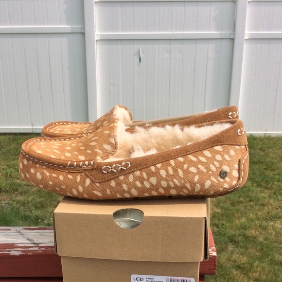 UGG ANSLEY IDYLLYWILD - Picture 3 of 6